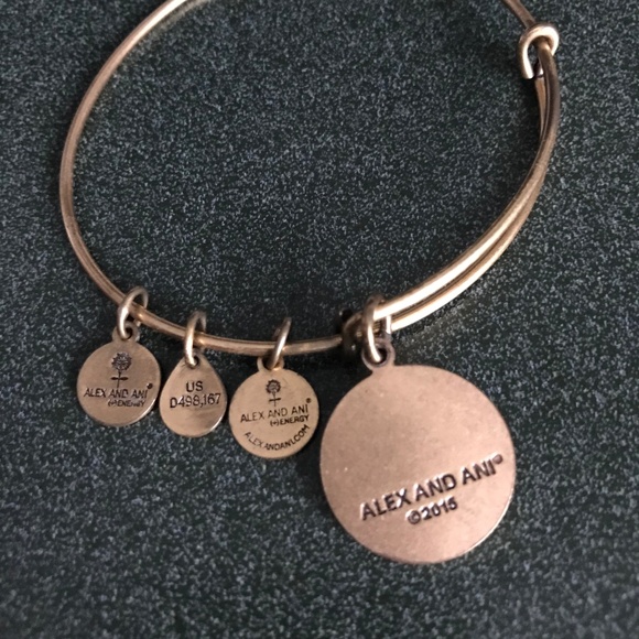 Alex and Ani Expandable Wire Bangle Bracelet 2015 - Picture 7 of 13